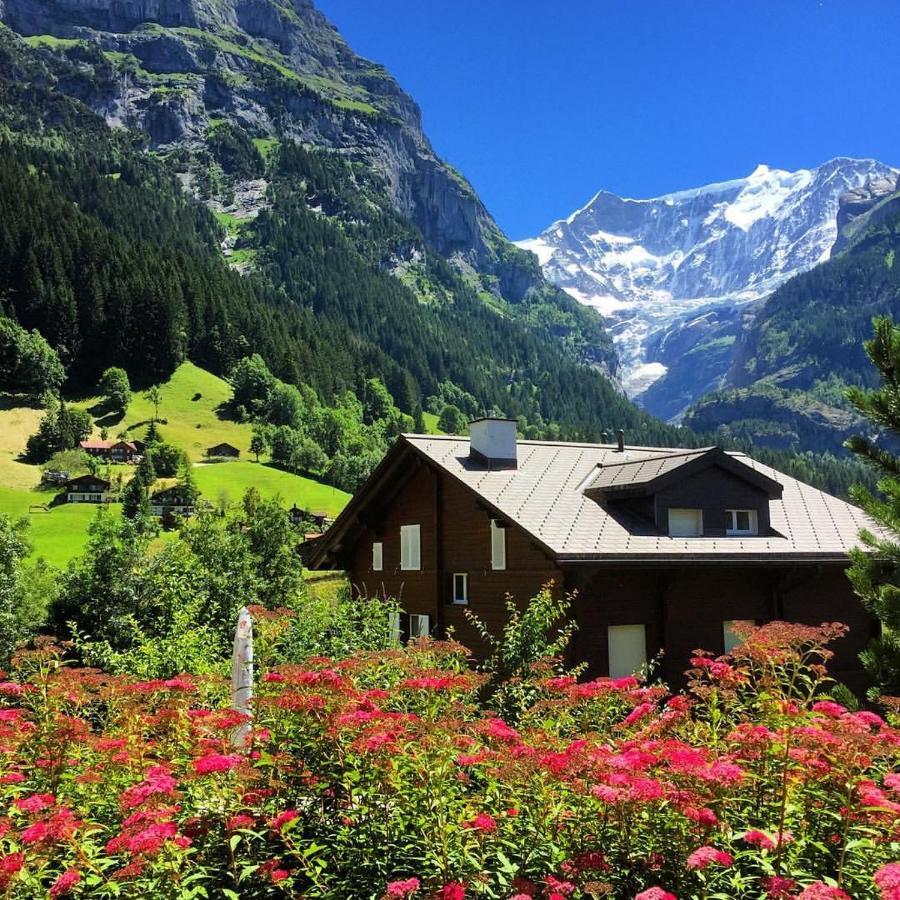 Chalet Pfingsteggblick Apartamento Grindelwald Exterior foto