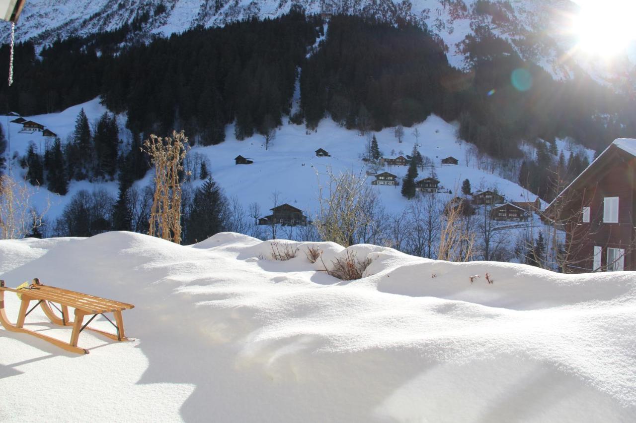 Chalet Pfingsteggblick Grindelwald Exterior foto