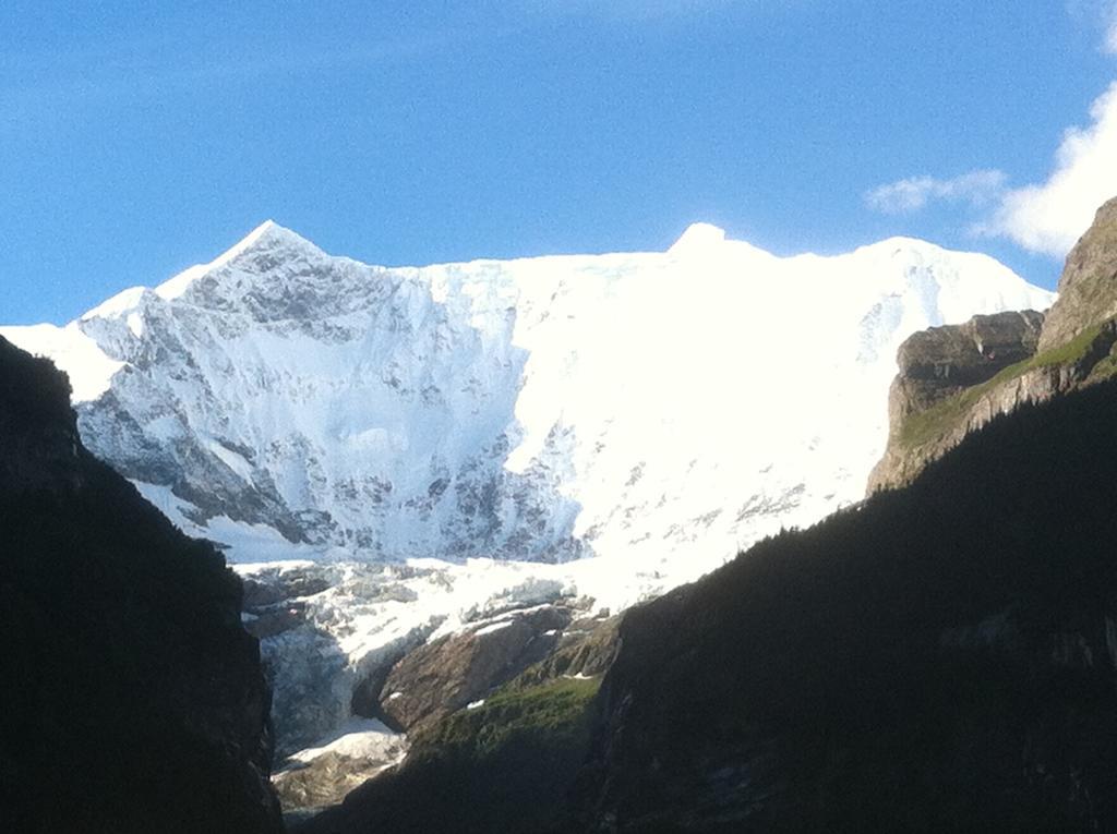 Chalet Pfingsteggblick Grindelwald Exterior foto