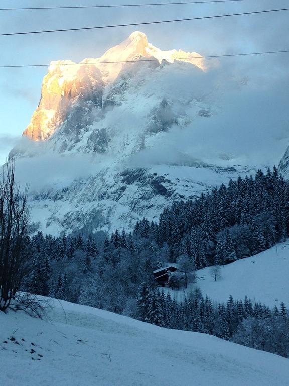 Chalet Pfingsteggblick Apartamento Grindelwald Exterior foto