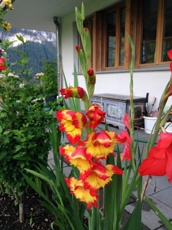 Chalet Pfingsteggblick Grindelwald Exterior foto