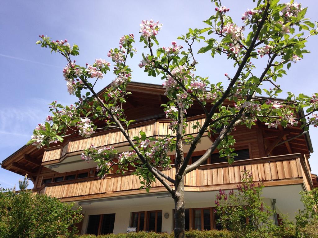 Chalet Pfingsteggblick Grindelwald Exterior foto